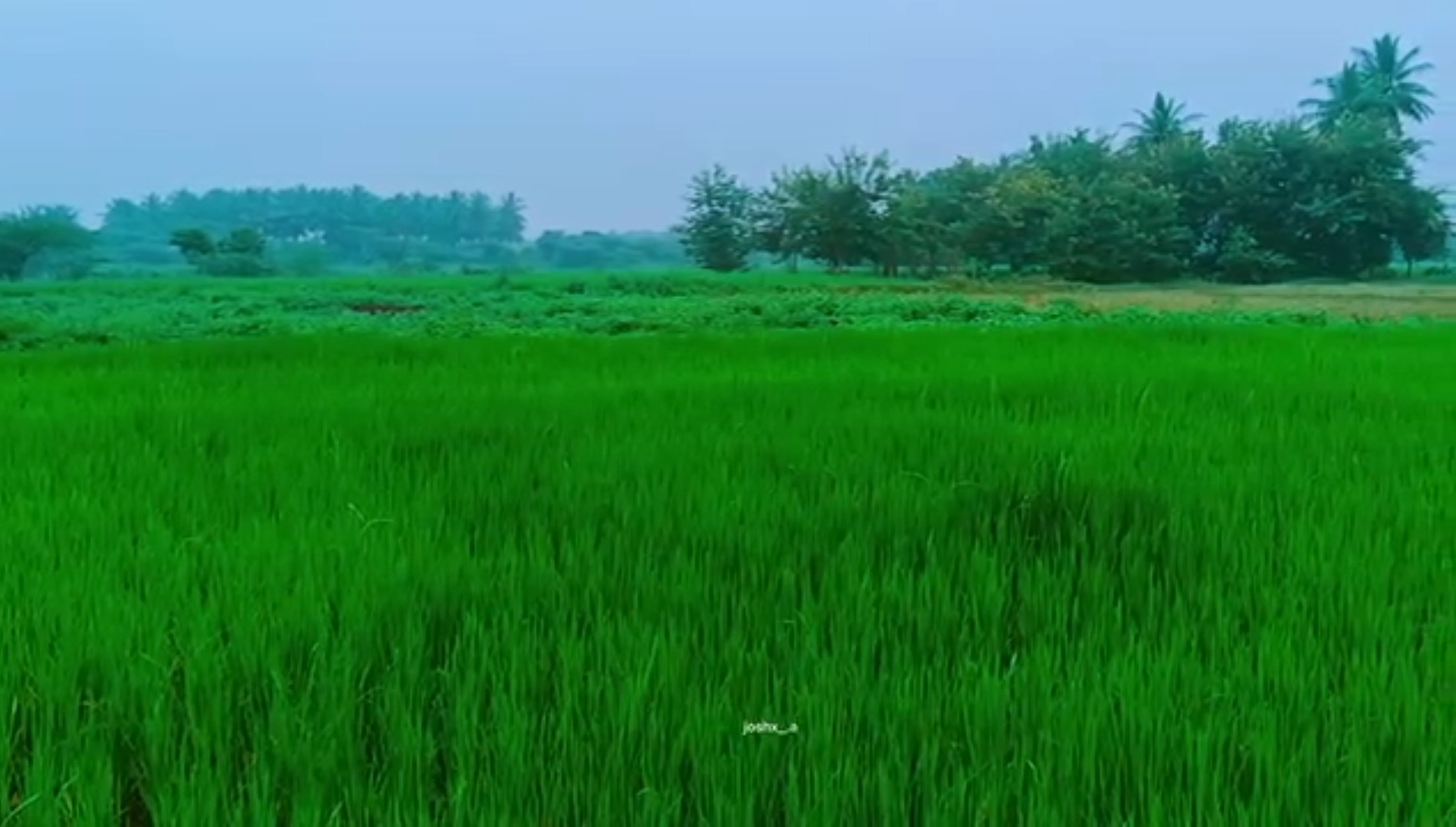 Mithilaipatti village view